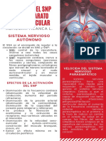 4 Funciones Aparato Cardiovasculaar