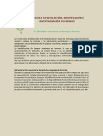 Protocolo de Recolección e Identificación de Hongos Chile 2020 GP