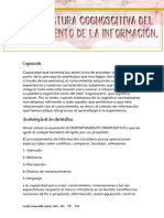 La Estructura Cognoscitiva Del Procesamiento de La Información PDF