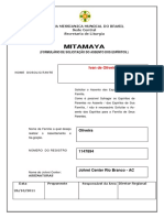 Mitamaya PDF