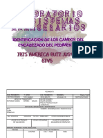 Tarea pedimento- identificación de los campos