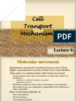  Transmembrane Transport