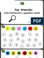 Atencion Agudeza Visual PDF