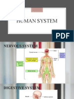 HUMAN SYSTEM.pptx