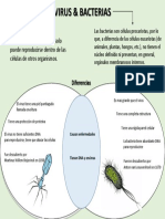 Infografia Virus Bacterias