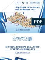 ENCUESTA_CONAMYPE_2017.pdf