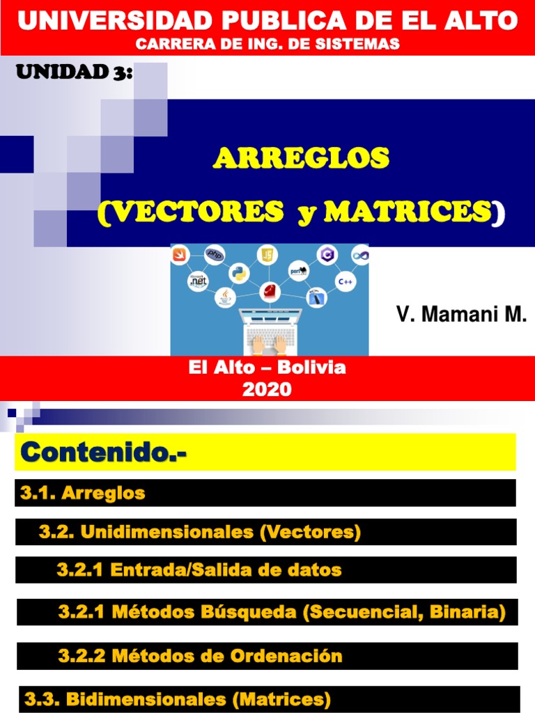 UNIDAD 3. ARREGLOS (VECTORES y MATRICES) PDF | PDF | Estructura de ...