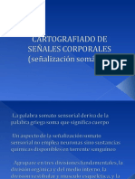 CARTOGRAFIADO DE SEÑALES CORPORALES 3
