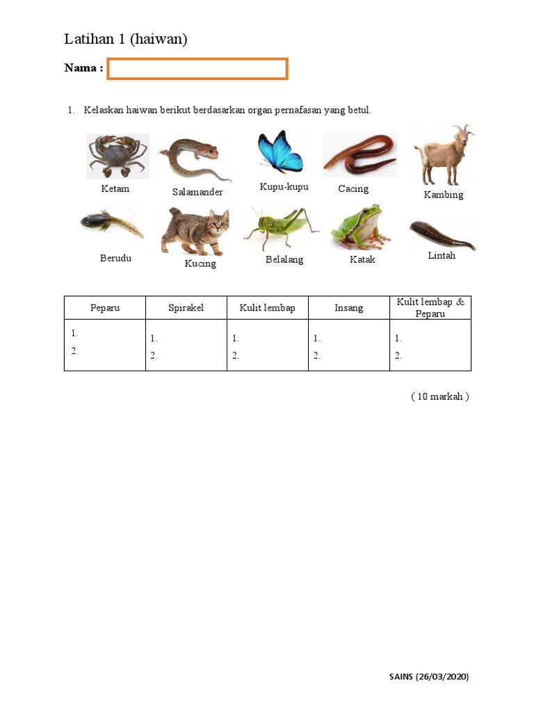 Sains Tahun 4 Bab 4 Haiwan Pdf