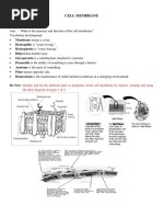 Cell Mebrane