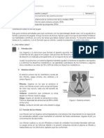 Guia Aprendizaje Estudiante 4to Grado Ciencia f3 s2 Impreso