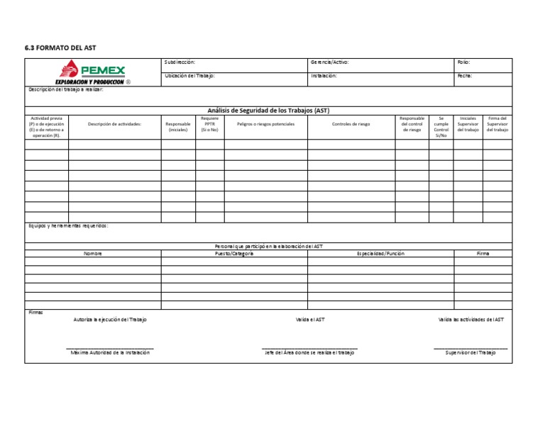 Formato AST para Análisis de Seguridad | PDF | Informática y tecnología ...
