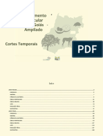 DC-GO Ampliado - Corte Temporal (1).docx