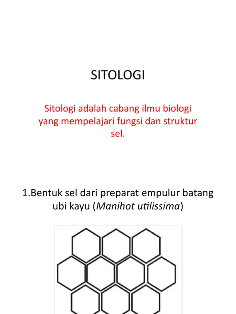 Struktur Sel Empulur Ubi Kayu | PDF | Sains & Matematika