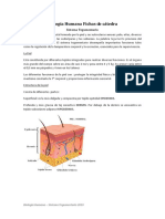 Apuntes de cátedra Sistema Tegumentario.pdf