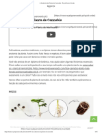 A Anatomia Da Planta de Cannabis - Royal Queen Seeds