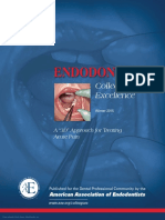 Ecfeacutedentalpain PDF