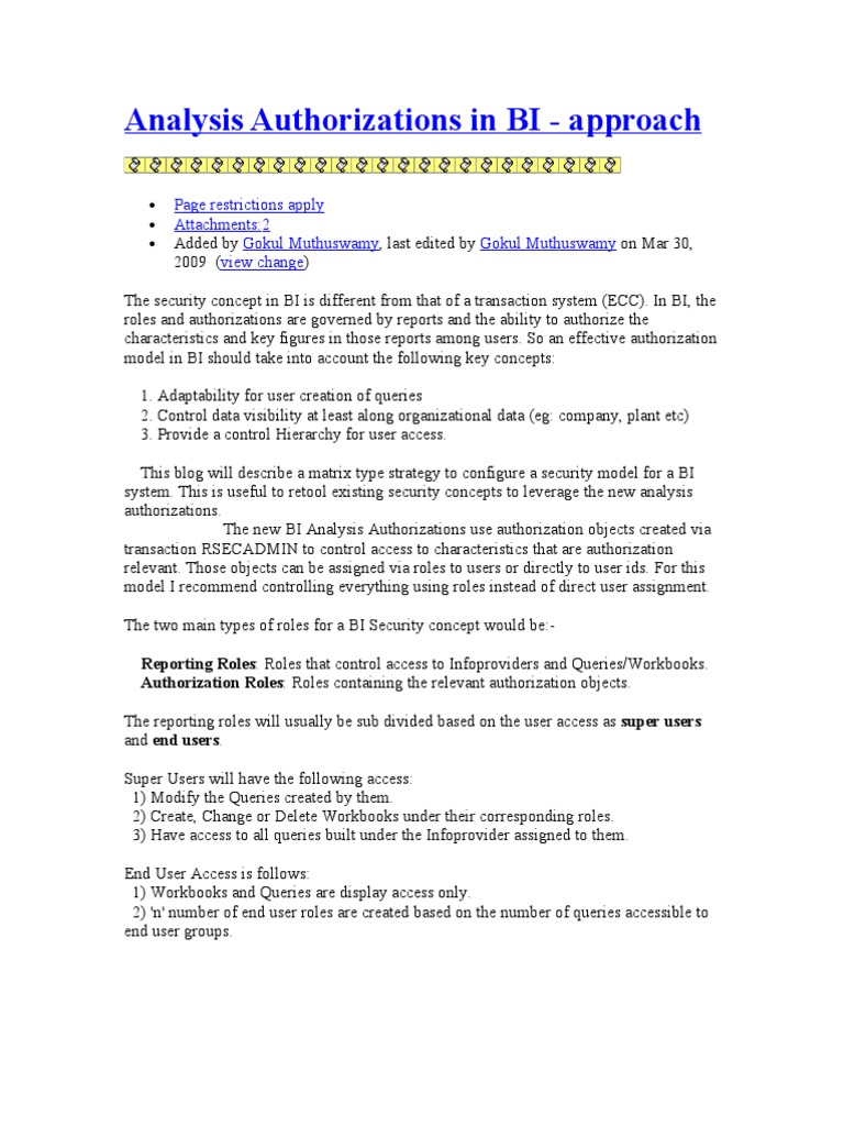 BI Analysis Authorizations Strategy | PDF | Data | Information Technology