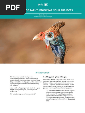 BirdPhotography_Knowing.pdf