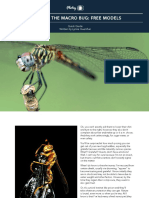 Bitten+by+the+Macro+Bug Free+Models PDF