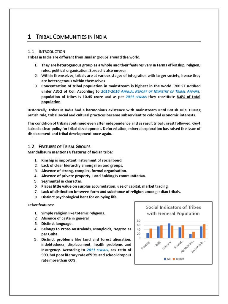 Overview of Tribal Communities in India | PDF | Caste | Tribe