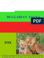 02 - Bulgarian - Fauna