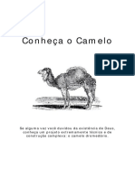 Conheca o Camelo PDF