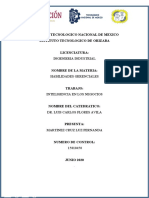 H.G INTELIGENCIA EN LOS NEGOCIOS MARTINEZ CRUZ LUZ FERNANDA