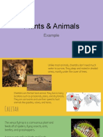 Plants and Animals Example