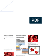 Triptico de Histologia