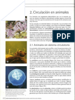 circulacion-animales.pdf