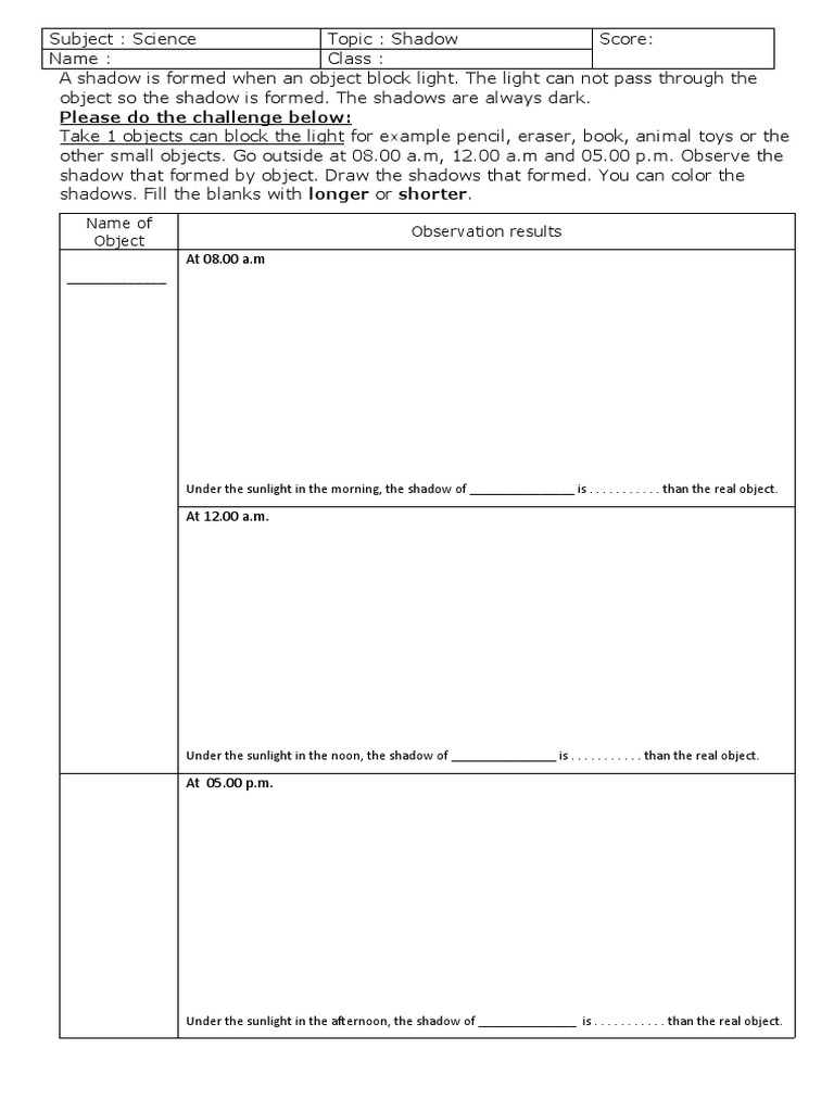 Understanding Shadows: A Science Activity | PDF