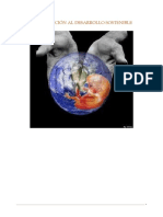 01 Introducción Al Desarrollo Sostenible PDF