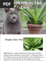 aloe vera gel tube [VEGAN BEAUTY] Mild & Moisture ALOE VERA Watery Gel & Gel Tube main image 1