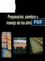 ALMACIGOS.pdf