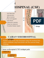 CSF] Analisis Cairan Serebrospinal (CSF