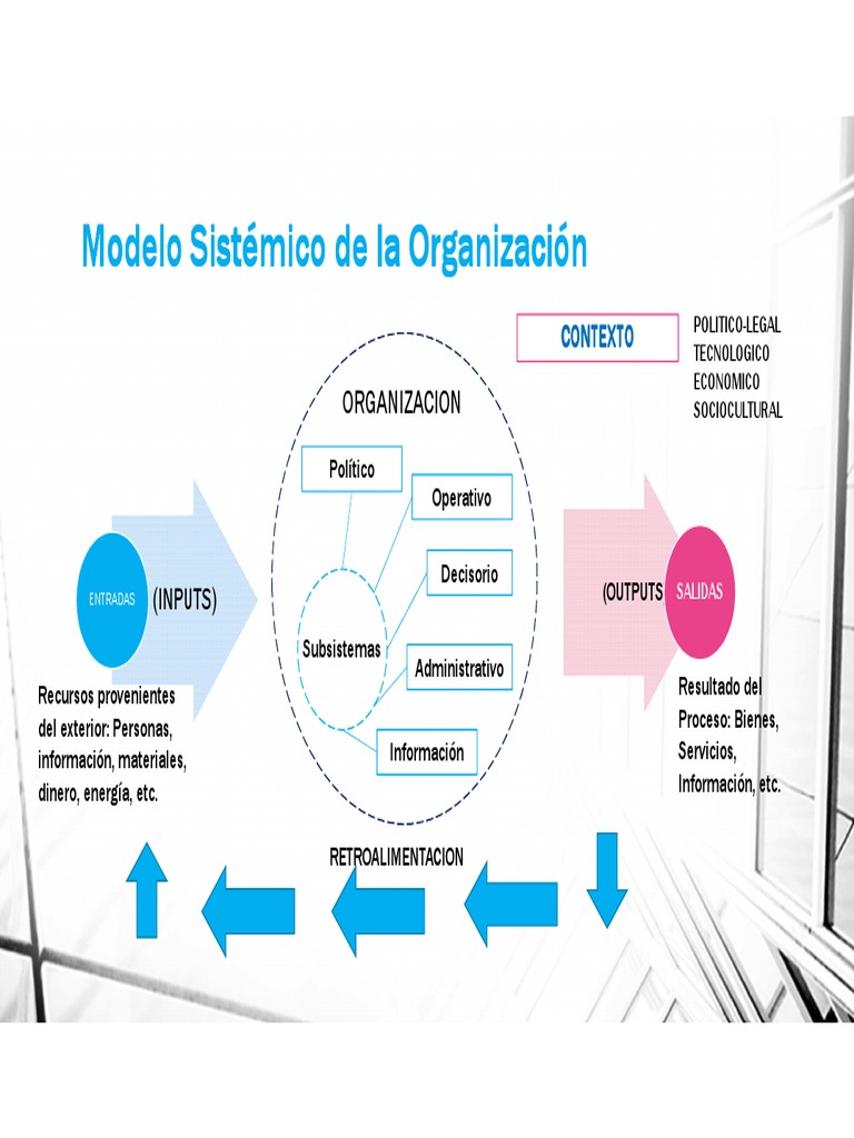 Modelo Sistemico de La Organizacion | PDF