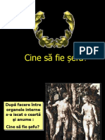 Cine sa fie sef