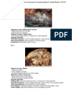 1.-handout-examen-practic-respirator-2018-2019.pdf