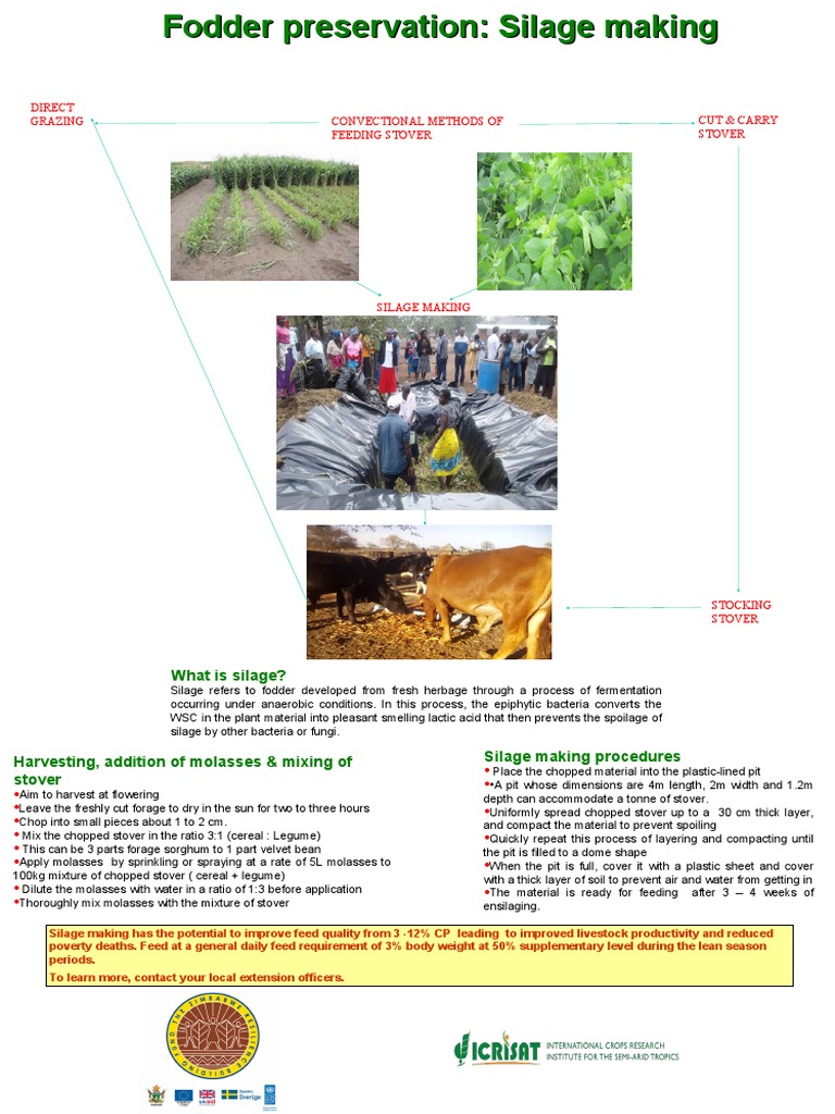 Silage Making: A Guide to Fodder Preservation | PDF | Agronomy | Crops