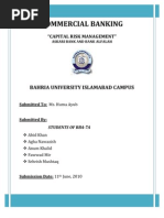 Download Final Project Report Commercial Banking1 by sehrishmushtaq_04 SN46540315 doc pdf