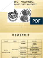 Coccidiosis, Isosporosis y Criptosporidiosis