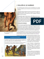 2do trabajo Historia 1° año (1).pdf