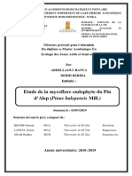 mémoire_final_aprés_correction_..pdf