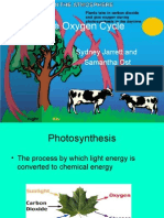 The Oxygen Cycle