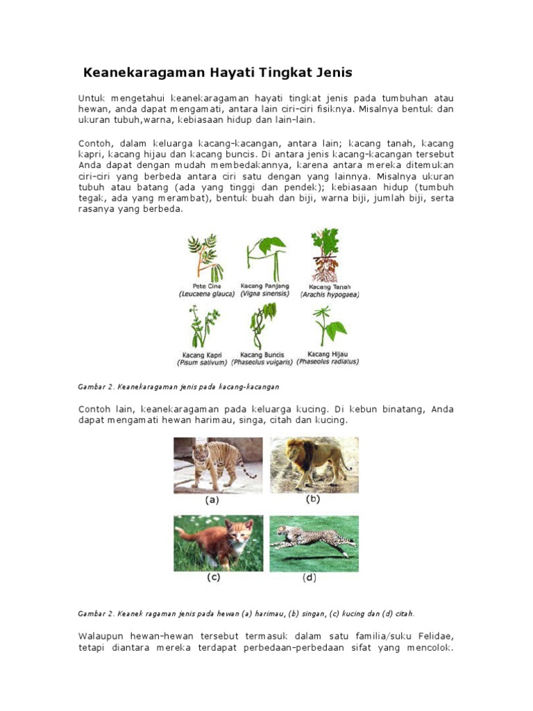 Keanekaragaman Hayati Tingkat Jenis PDF