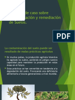 Estudios de Caso Sobre Contaminación y Remediación Del Suelo