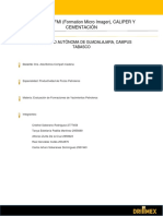 Investigación Registros Campo YUS PDF