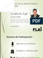 0_AuditoriaAgil_JBadillo_Abr2020_vFinal.pdf