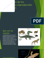 Expocicion de Los Reptiles